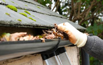 gutter cleaning South Town