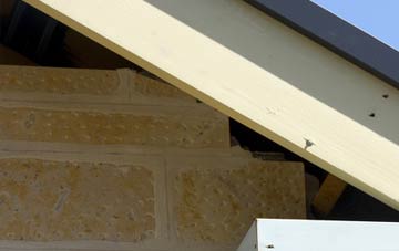 soffit repair South Town